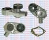 AQUAPLUS 85-5705 Water Pump
